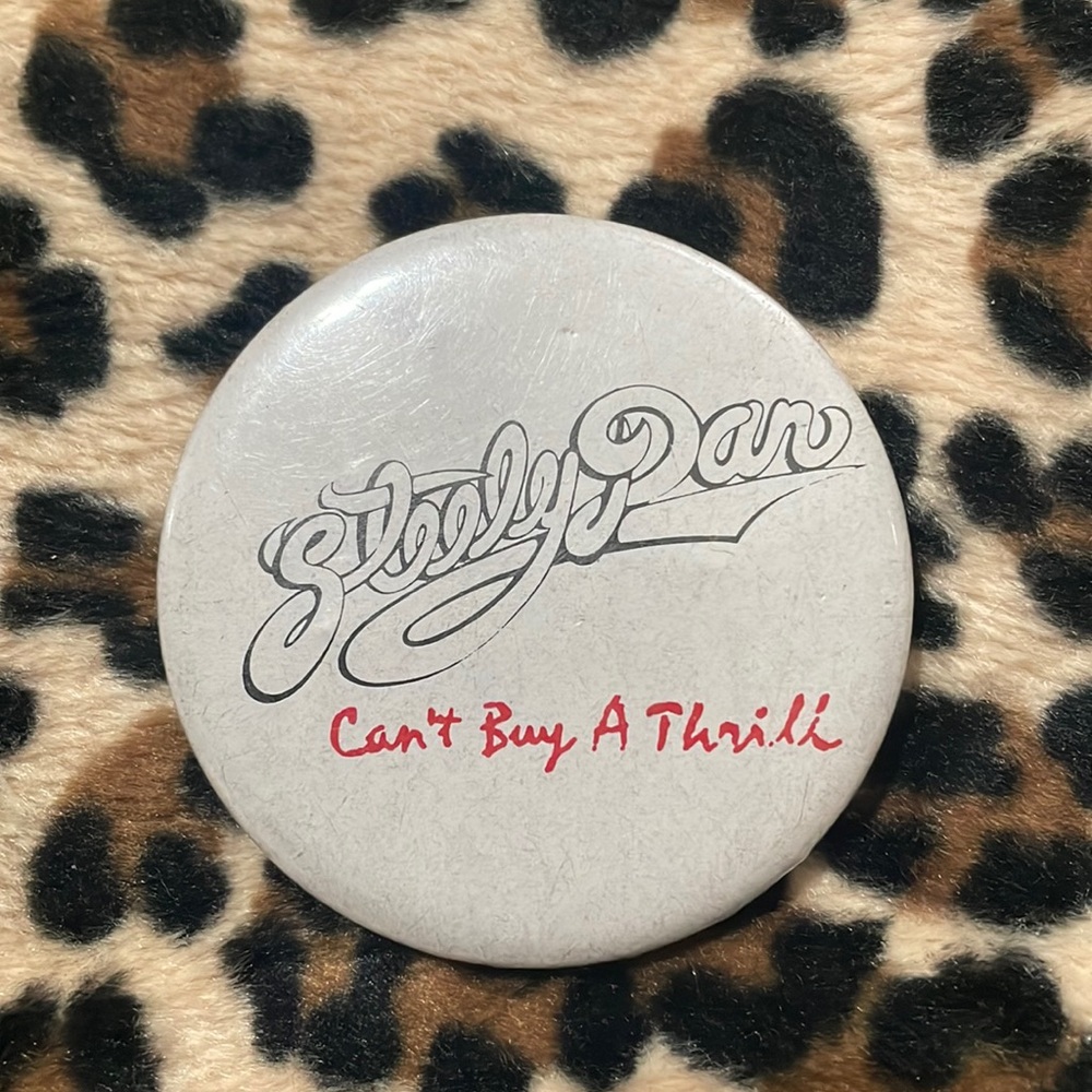 STEELY DAN 🎶 Vintage Rock Button Pin Pinback Collectible Jazz Soft Rock Fusion